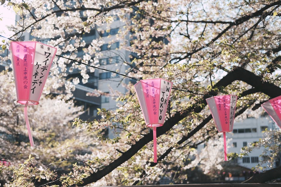 Cherry blossom festival in Tokyo with pink sakura trees - tokyo festivals events calendar