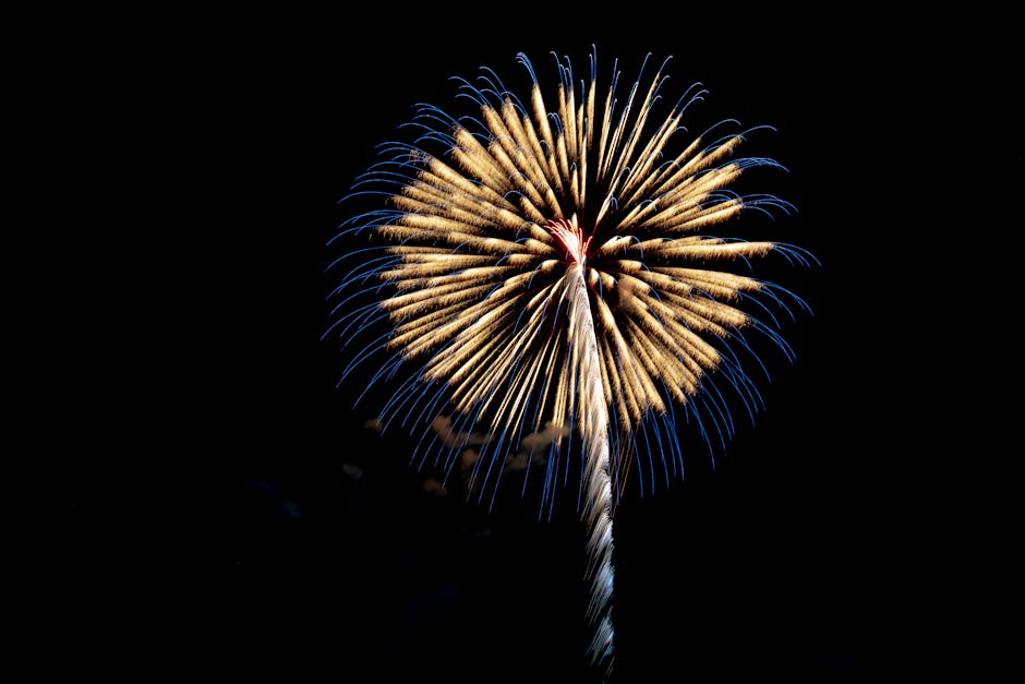Spectacular fireworks display over Tokyo skyline at summer festival