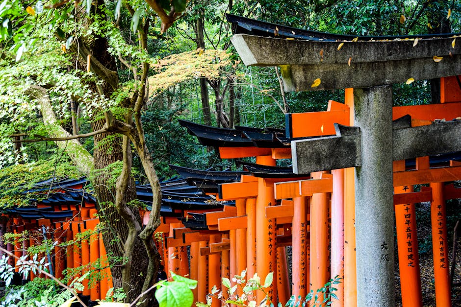 Torii gate path at a Japanese shrine in Tokyo