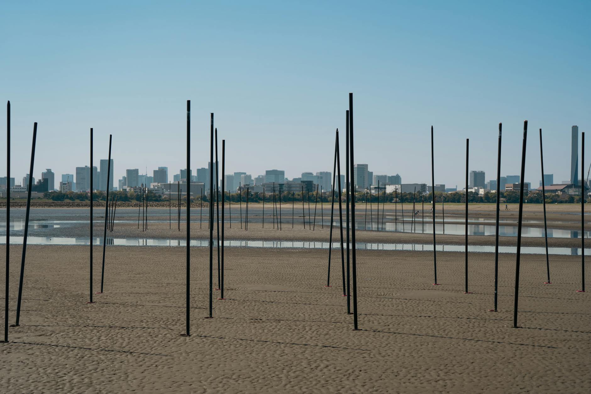 TeamLab immersive digital art installation in Tokyo