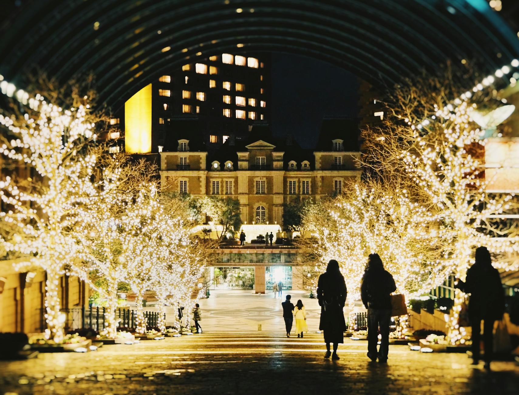 A Tokyo street lined with trees wrapped in white winter illumination lights