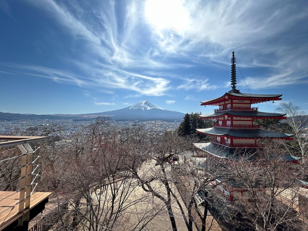 A five-storey pagoda framed by cherry blossom with Mount Fuji behind
