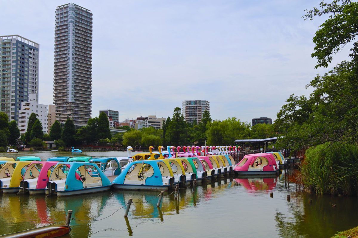 Swan paddle boats on the pond at Inokashira Park