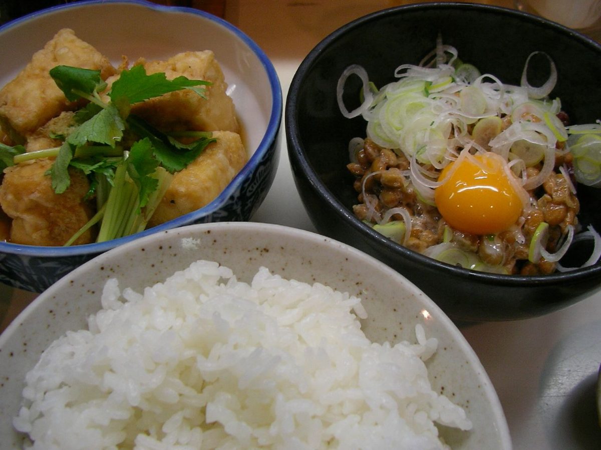 Blocks of fresh Japanese tofu served as a simple dish