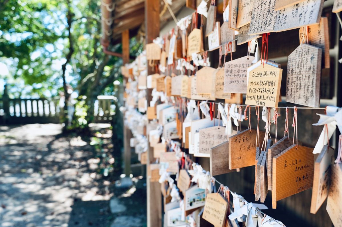 Wooden ema prayer plaques tied around a tree at a Tokyo shrine