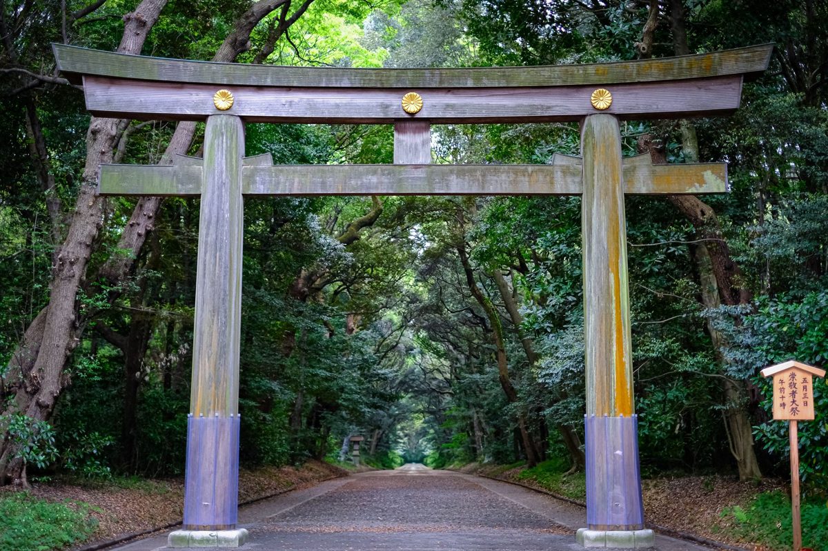 The massive wooden torii gate marking the forest entrance to Meiji Jingu