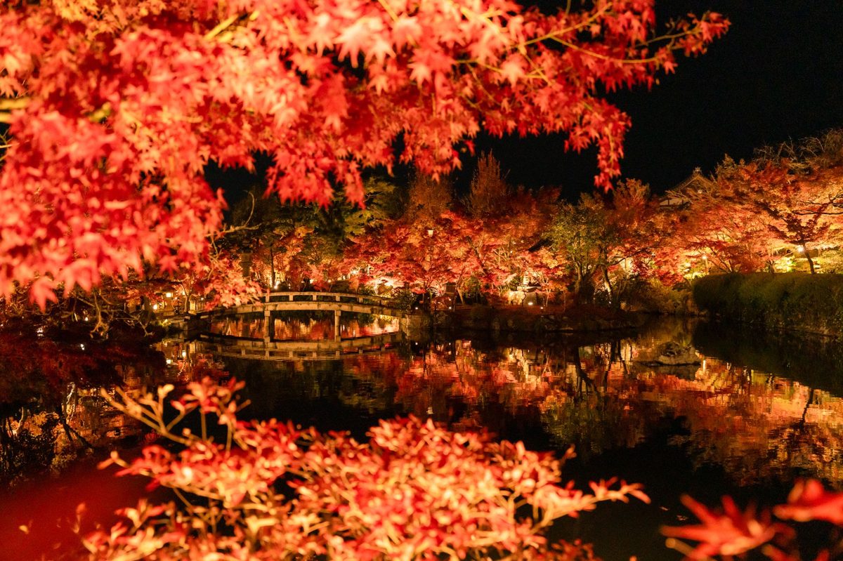 Red maple leaves reflected in a pond during autumn