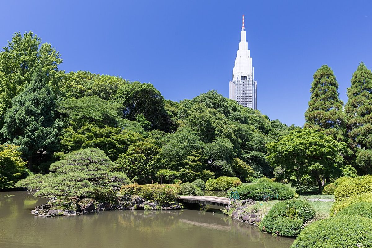 Lawns and trees of Shinjuku Gyoen national garden