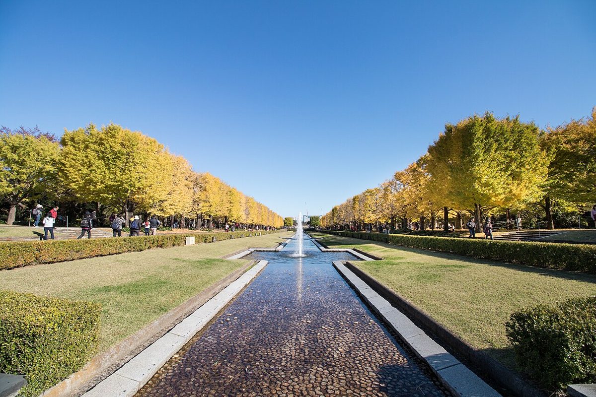 Ginkgo avenue in golden colour at Showa Memorial Park