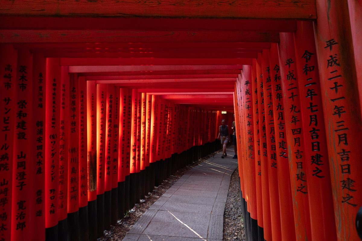 A tunnel of small red torii gates winding uphill at Nezu Shrine