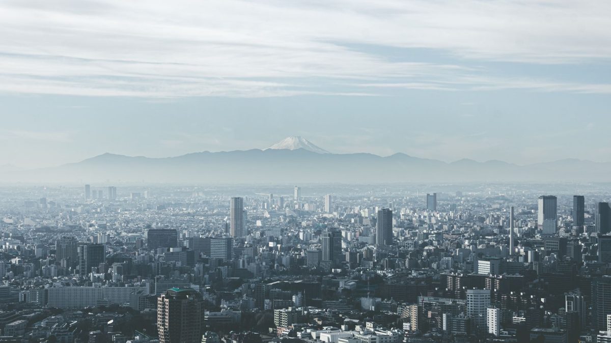 Panoramic view of Tokyo's sprawling skyline from an observation deck