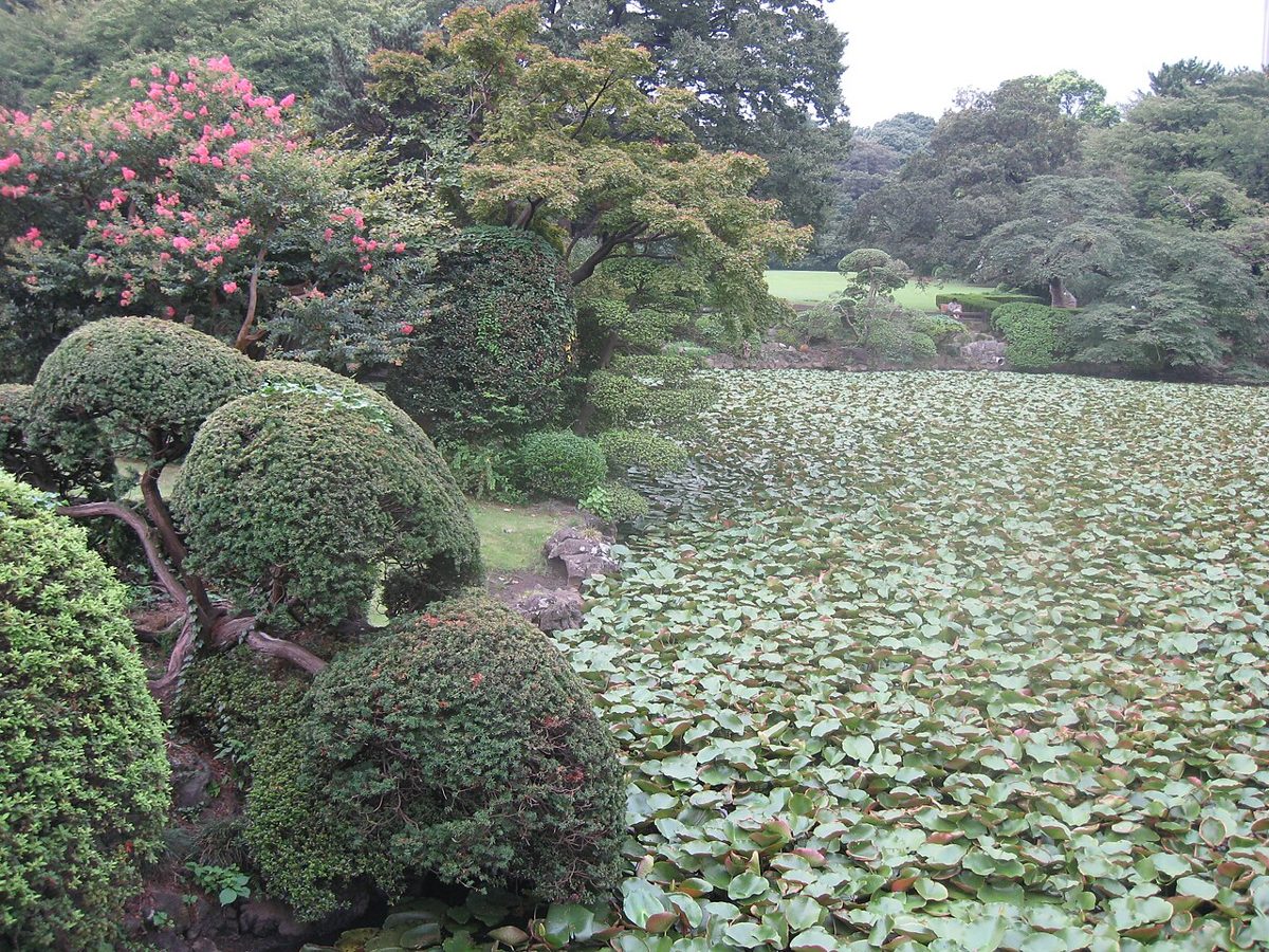 Open lawns at Shinjuku Gyoen National Garden