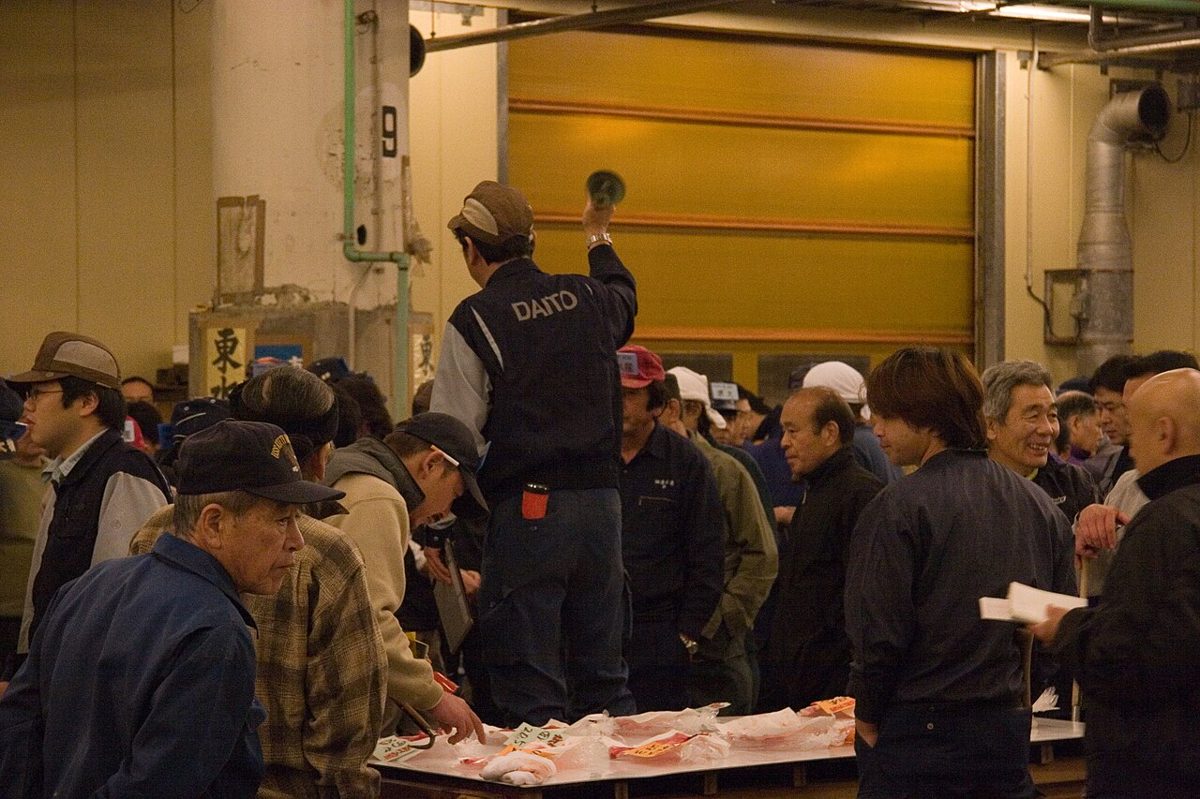Large tuna laid out at a Tokyo fish market