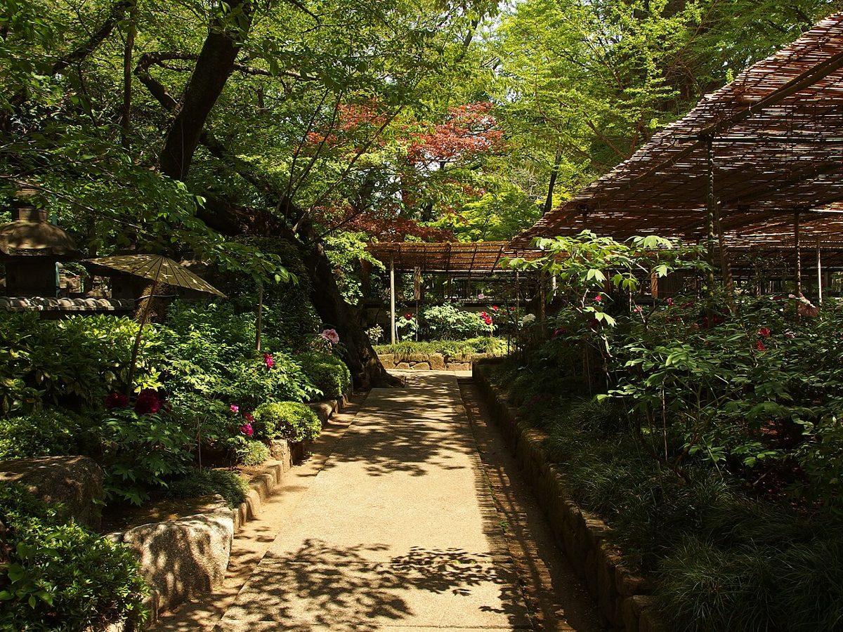 Green trees and paths in Ueno Park in late spring