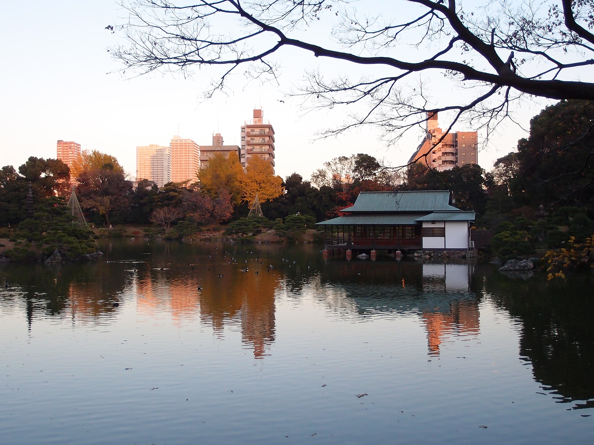 A traditional teahouse on the far shore of the pond in Kiyosumi Garden with autumn trees and city buildings behind