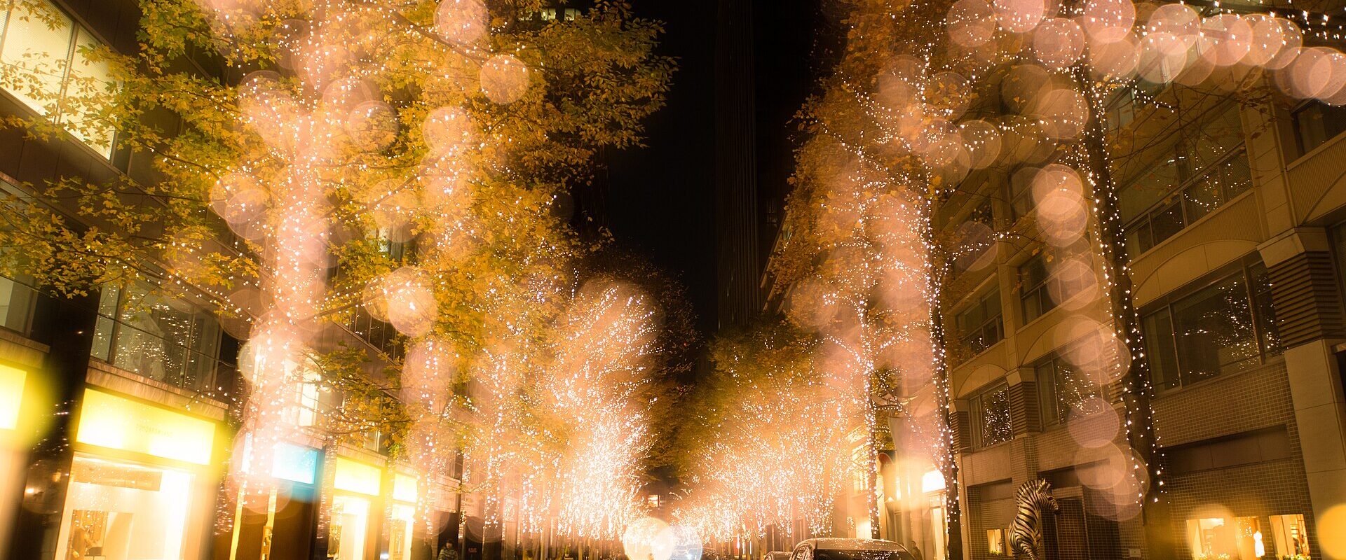 Trees wrapped in warm gold lights lining Marunouchi Naka-dori in Tokyo at night