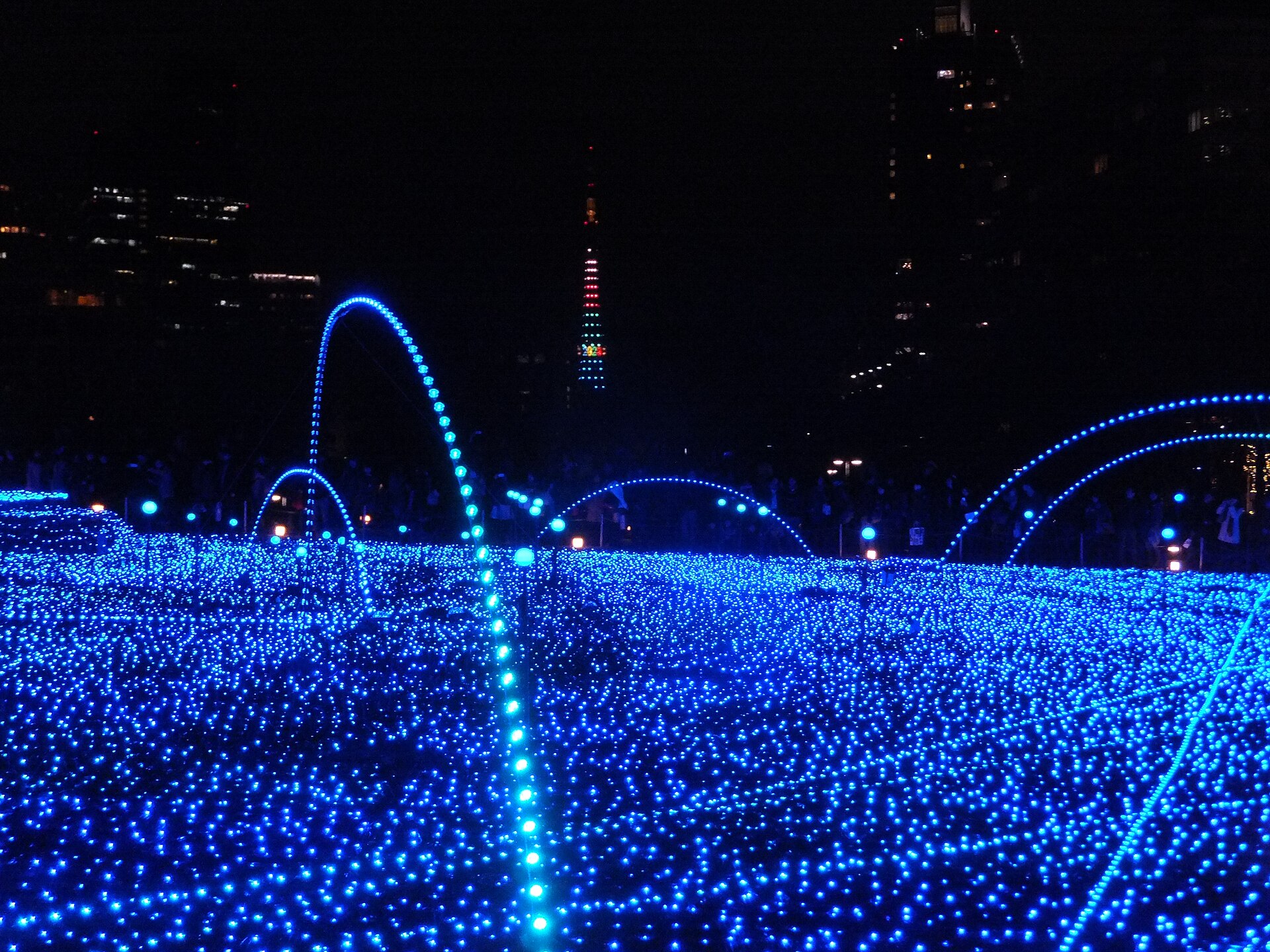 A field of thousands of blue LEDs on the Tokyo Midtown lawn with Tokyo Tower lit in the distance