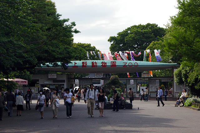Visitors walking through the main entrance gate of Ueno Zoo under a row of carp streamers