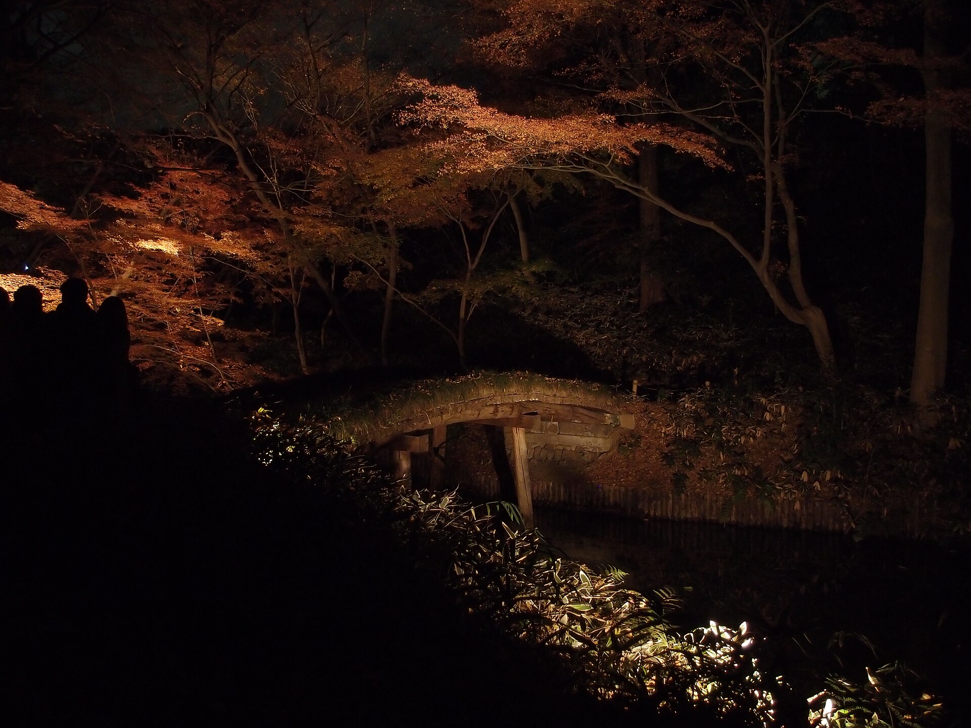 Illuminated orange autumn leaves arch over a small stone bridge at Rikugien in Tokyo, with visitors silhouetted nearby.